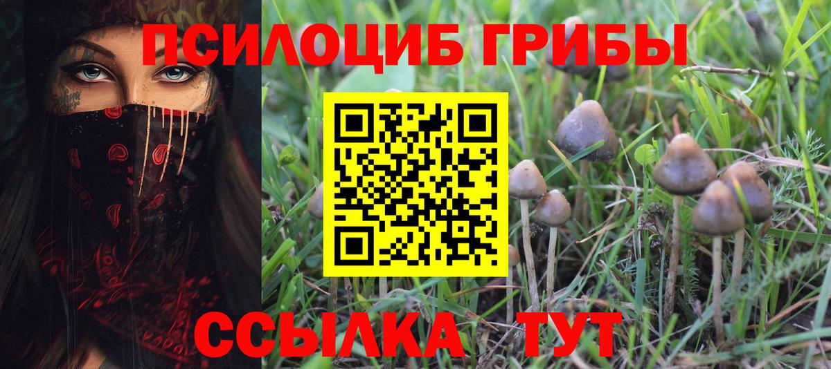 Псилоцибиновые грибы MAGIC MUSHROOMS  Вход с VPN  что такое наркотик  Чусовой 